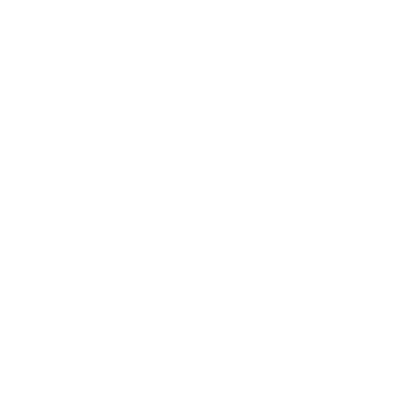 pro business solutions