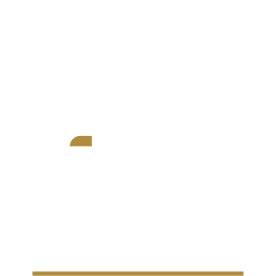 pro business solutions